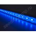 Светодиодная лента синего цвета SMD5050 для использования в биколорных светильниках